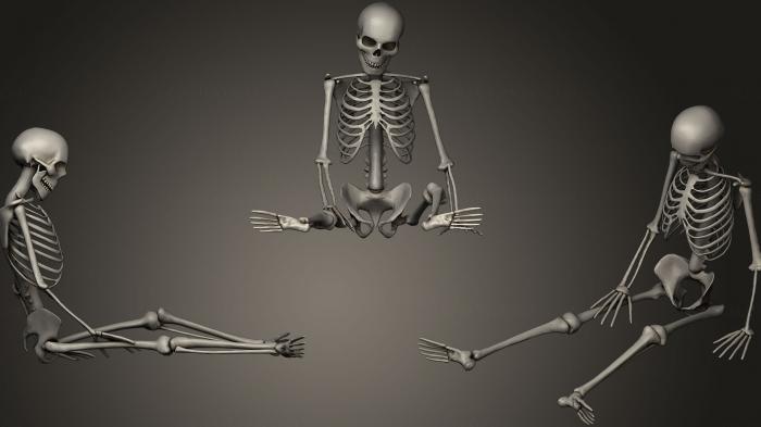 نموذج ثلاثي الأبعاد لآلة CNC تشريح الهياكل العظمية والجماجم مجموعة عظام بشرية 4